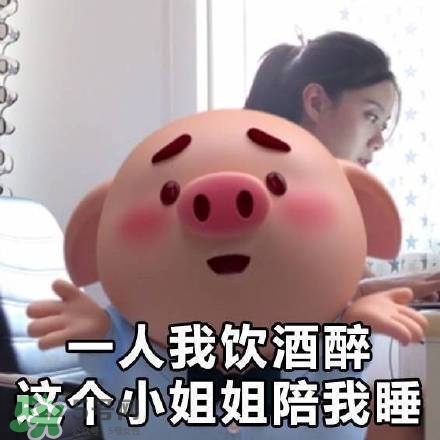 豬小屁表情包是什么？豬小屁表情包為什么這么火？