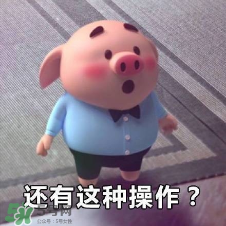 豬小屁表情包是什么？豬小屁表情包為什么這么火？