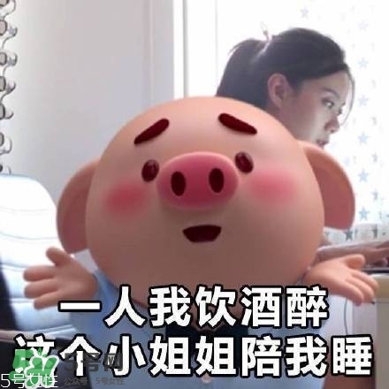 豬小屁多少錢一個？豬小屁哪里可以買到