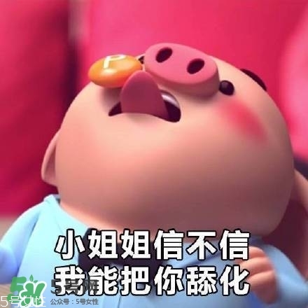 豬小屁多少錢一個？豬小屁哪里可以買到