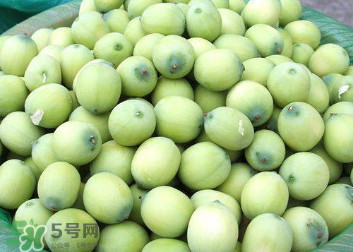 蓮蓬可以泡水喝嗎？蓮蓬泡水的功效與作用