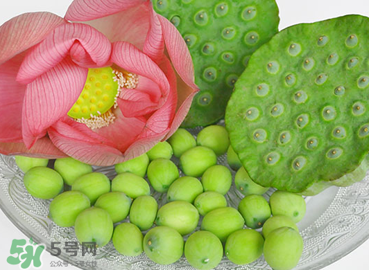 蓮蓬是水果嗎？蓮蓬是水果還是蔬菜？