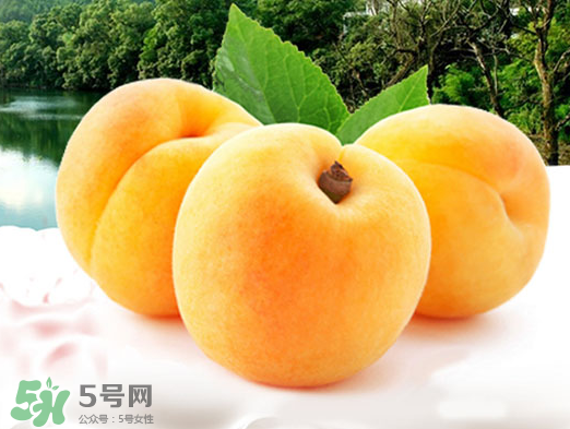 黃桃是酸性還是堿性？黃桃罐頭是酸性還是堿性？