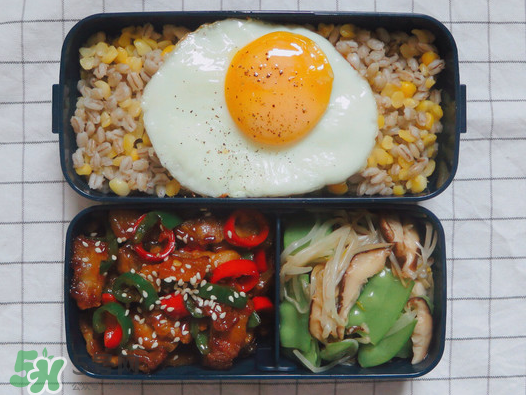 夏天用保溫盒帶飯會(huì)壞嗎？夏天能用保溫盒帶飯嗎？