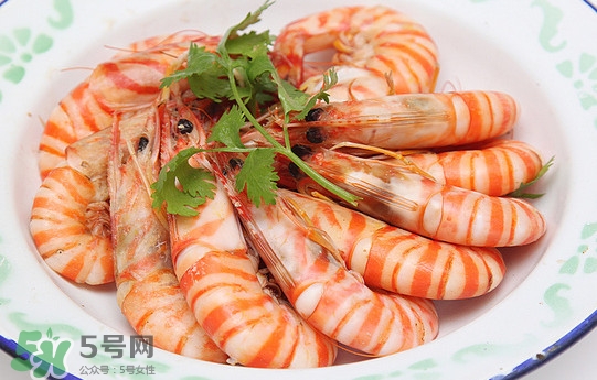 斑節(jié)蝦是九節(jié)蝦嗎？斑節(jié)蝦和九節(jié)蝦的區(qū)別