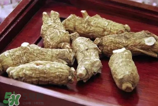 西洋參補腎嗎？西洋參適合什么季節(jié)吃