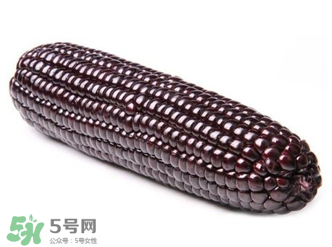 紫玉米會掉色嗎？紫玉米怎么會掉色？