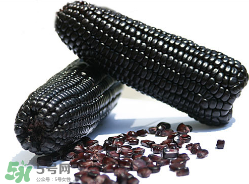 紫玉米會掉色嗎？紫玉米怎么會掉色？