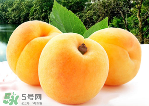 黃桃和水蜜桃哪個好吃？黃桃和水蜜桃的區(qū)別