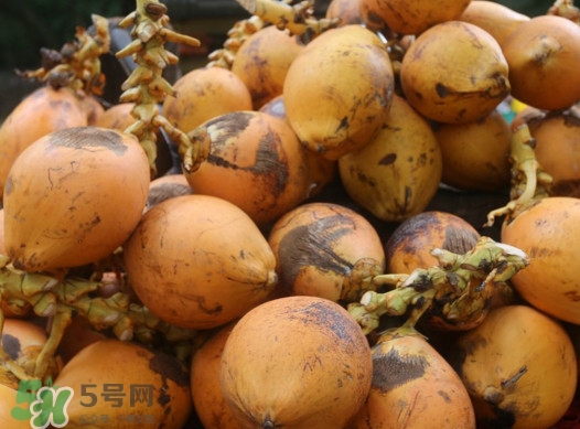 椰子什么時(shí)候成熟？椰子什么時(shí)候吃最好