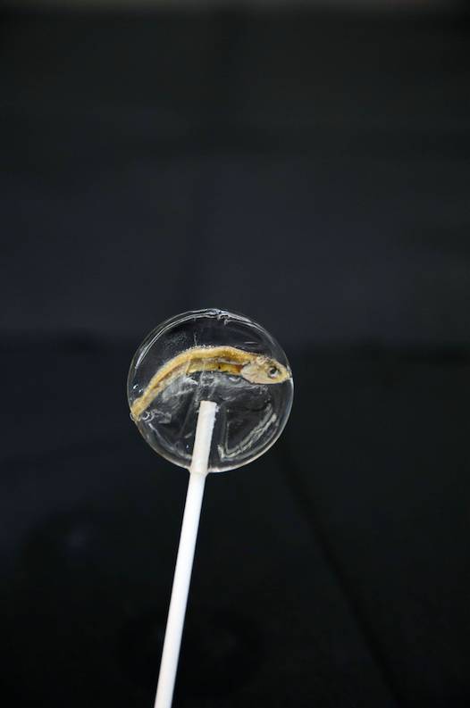 initial心軟冰淇淋雪糕多少錢？initial心軟冰淇淋好吃嗎？