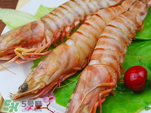 活的斑節(jié)蝦多少錢一斤？野生斑節(jié)蝦多少錢一斤