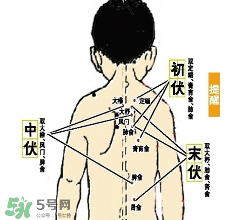 三九灸和三伏灸有什么區(qū)別？做完三伏灸要注意什么？