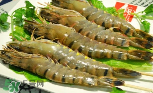 斑節(jié)蝦是九節(jié)蝦嗎？斑節(jié)蝦和九節(jié)蝦的區(qū)別