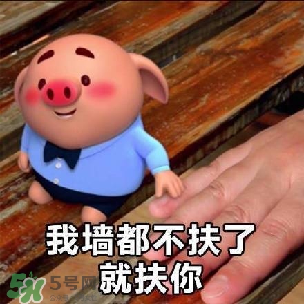 豬小屁表情包是什么？豬小屁表情包為什么這么火？