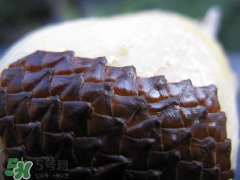 蛇皮果能生吃嗎？蛇皮果能放冰箱嗎？