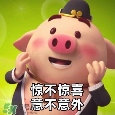 豬小屁表情包是什么？豬小屁表情包為什么這么火？
