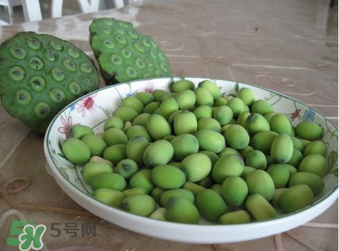 新鮮蓮子多少錢一斤？新鮮蓮子哪里有賣？