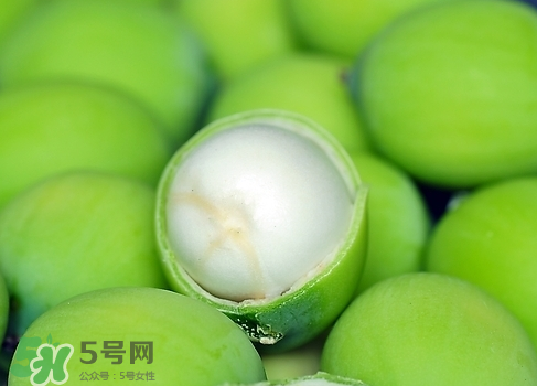 新鮮蓮子多少錢一斤？新鮮蓮子哪里有賣？