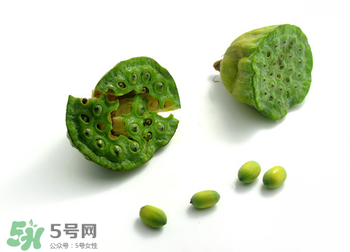 新鮮蓮子可以直接吃嗎？生蓮子可以直接吃嗎？