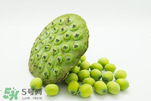 新鮮蓮子可以直接吃嗎？生蓮子可以直接吃嗎？