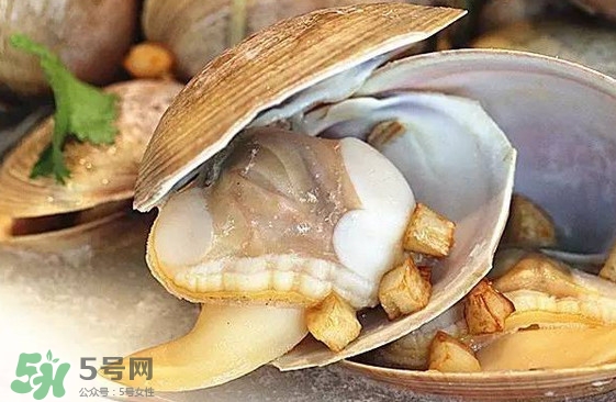 蜆子是蛤蜊嗎？蜆子和文蛤怎樣區(qū)別