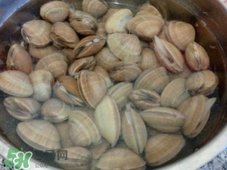 蜆子什么樣的是活的？蜆子開口是死還是活