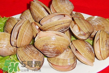 蜆子是蛤蜊嗎？蜆子和文蛤怎樣區(qū)別