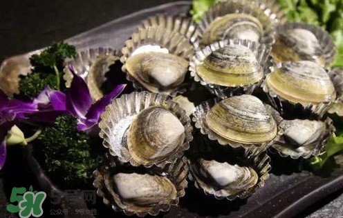 蜆子有寄生蟲嗎？黃蜆子有寄生蟲嗎？