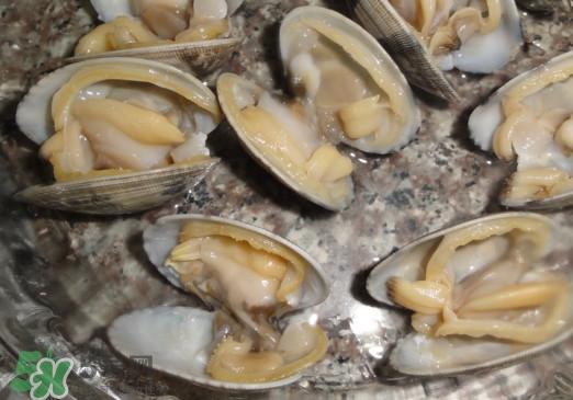 蜆子死了還能吃嗎？蜆子死了多久不能吃