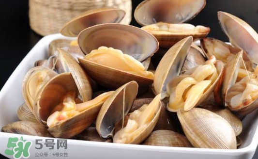 黃蜆子多少錢一斤？河蜆子多少錢一斤