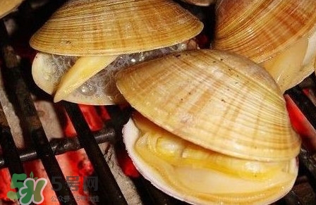 黃蜆子多少錢一斤？河蜆子多少錢一斤