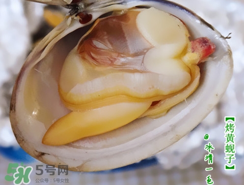 蜆子什么樣的是活的？蜆子開口是死還是活