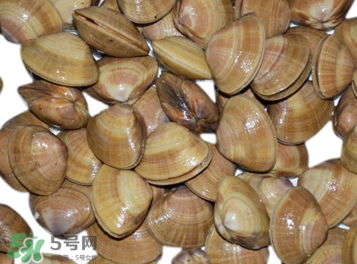 蜆子是花甲嗎？蜆子是海鮮嗎？