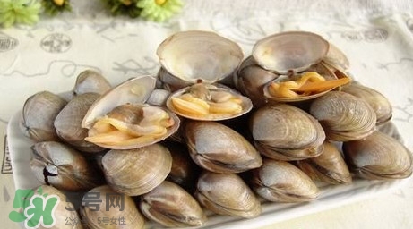 蜆子是寒性的嗎？蜆子什么人不能吃