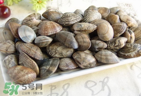 黃蜆子和花蜆子哪個(gè)好？黃蜆子和花蜆子的區(qū)別