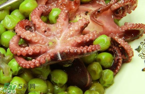 八爪魚多少錢一斤？章魚多少錢一斤