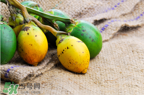 檳榔什么味道？正宗的檳榔是什么味道？