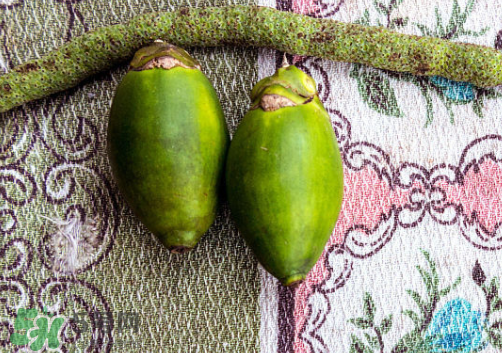 檳榔什么味道？正宗的檳榔是什么味道？