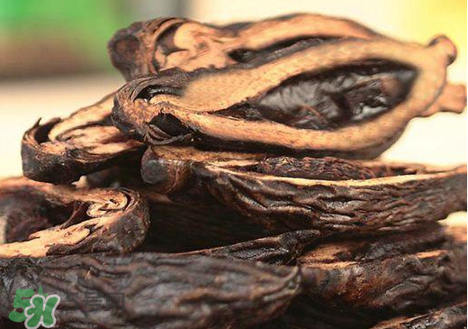 檳榔不能和什么一起吃？檳榔和什么不能一起吃？