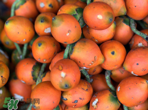 檳榔不能和什么一起吃？檳榔和什么不能一起吃？