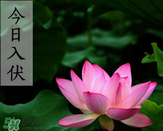 2017年頭伏是幾月幾號(hào)？2017年入伏第一天是幾月幾號(hào)？