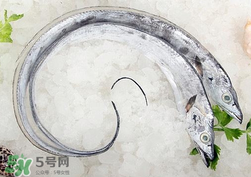 帶魚是深海魚嗎？帶魚是海鮮嗎