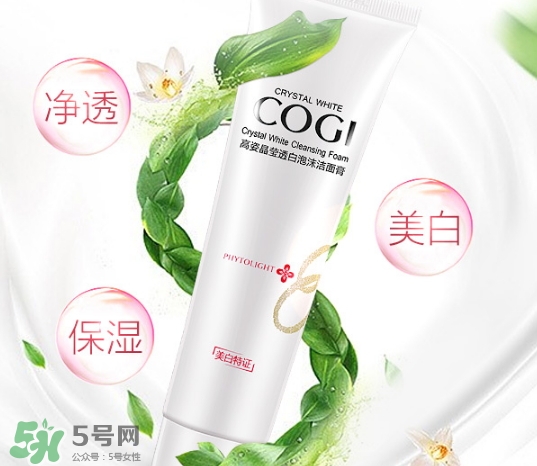 高姿洗面奶多少錢？高姿洗面奶真假查詢