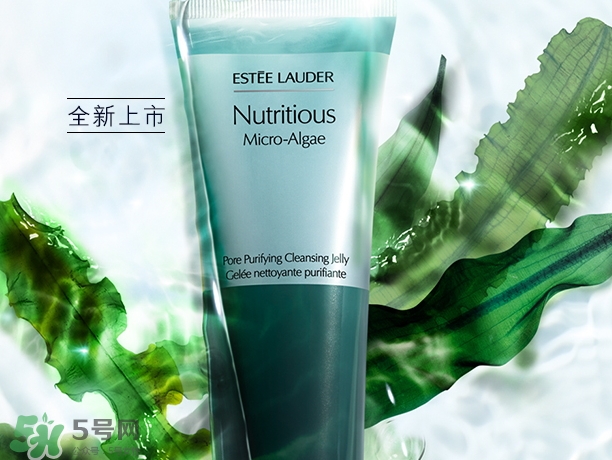 雅詩蘭黛海藻潔面泡泡多少錢_專柜價(jià)格