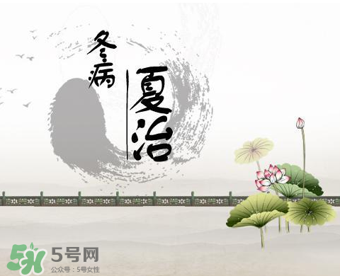 2017年三伏貼什么時候貼？2017年三伏貼貼幾天？