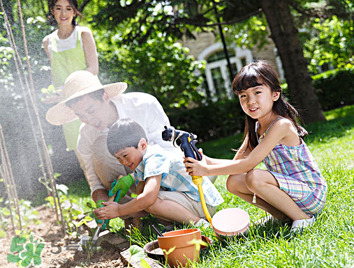 入伏種什么菜？入伏適合種哪些蔬菜？