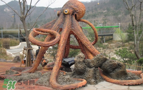 章魚是烏賊嗎？章魚與烏賊的區(qū)別