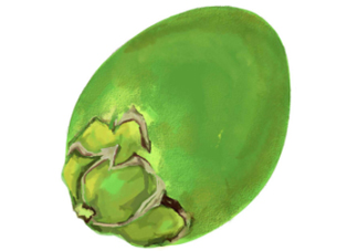 檳榔不能和什么一起吃？檳榔和什么不能一起吃？