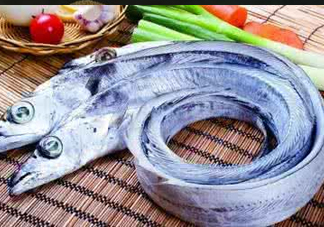 帶魚為什么都是死的？帶魚為什么出水就死？